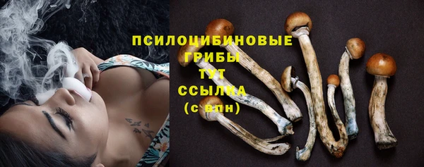 дурь Липки