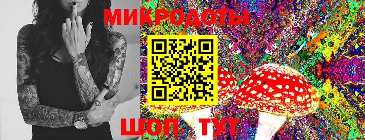 Псилоцибиновые грибы Psilocybine cubensis  Вход с VPN  Ачинск 